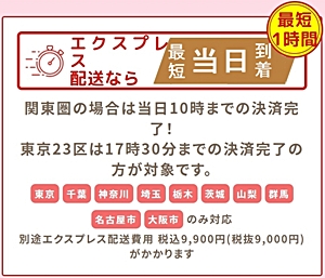 エクスプレス配送