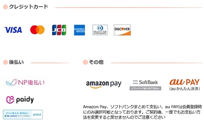 メデリピルの支払方法